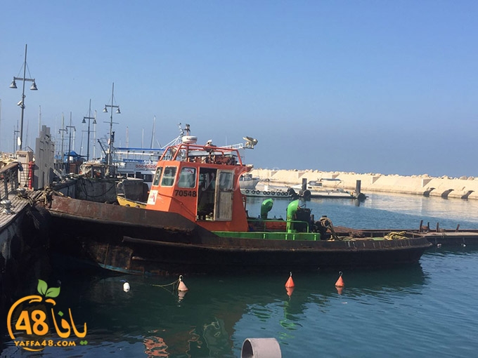 plane mina2a (9).jpg